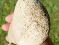 Souvenir de vacances